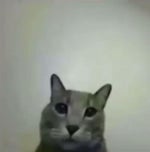 2JZ Single Turbo 6k rev