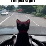 microphone usb audio 2