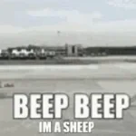The BEEP