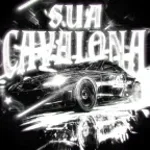 SUA CAVALONA (Slowed) (copy) (copy)