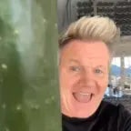 My cucumbers bigger than your's big man