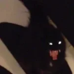 Here I am