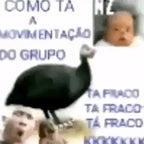 como é que tá a movimentação do grupo