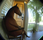 Mr Krabs dies - Sound