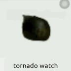 Cat Meme - u i i io i ii a