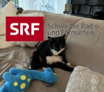 SRF Tagesschau Intro - Sound