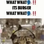 DID YOU SAY!? "buns pickles ketchup chees, put that patty..."