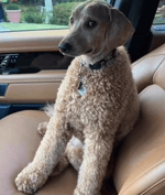 I Dont Need You Jersey Club