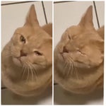 Dawid Jasper fajne masz piździsko - Sound