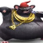 you needa put the eh!