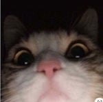 مقطع مضحك مِم مسامير - Sound