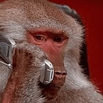 uh huh monkey talking on the phone meme