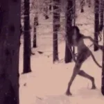 skinwalker