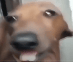 WhatsApp Ptt 2023 02 26 at 20