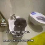 Просто я воняю на туалете говном стреляю (copy) - Sound