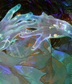 075176 duck quack 40345