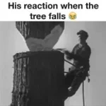 Are you Are you coming to the tree - Sound