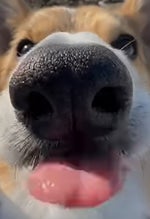 all units. Hes cappin - Sound