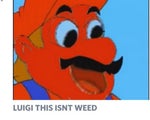 LUIGI THIS ISN'T WEED