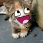 Passiho (normal speed)