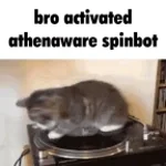 SpinBot