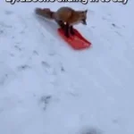 Recording 04/02/26 18:03:04