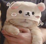 Price Tag Jessie J (Lyrics)