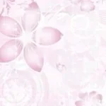 Midnight Sun-Zara Larsson ft. Muni Long (BASS BOOSTED) PT 2