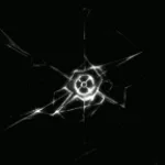 Meatshow (Sinister Minds)