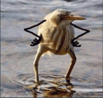 SCARY SCAMMER TRIES TO KIDNAP YOU