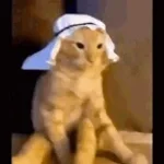 Habibi anuri laaye - Amr Diab - Nour El Ein