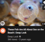 (touch grass) I eated it all