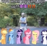 MR BEAST