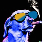 Schlag denen in die Fresse