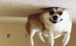 why are you running