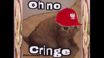 Oh no, cringe [POL]
