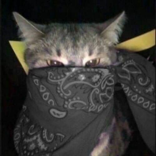 Знаешь почему