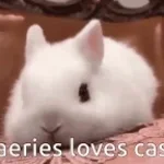 верь в себя зайка - Sound