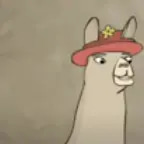 Llamas with Hats (copy)