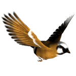 POLICE I SWEAR TO GOD simpson 2