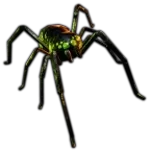 Timothy Crucifix DOORS