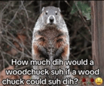How Much Dih would a woodchuck suh if a wood chuck could suh di