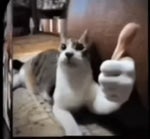 NOVA DONATE 16$ LUANGAMEPLAY