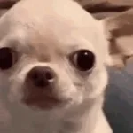 Nickdzz123 being funny/weird