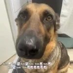 Hm📈Hm📉 - Sound