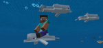 Swim2 - dolphin