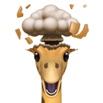 are you serious right now bro