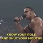The Rock "Shut your mouth you thong wearing fatty"