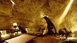 tadc cave