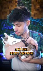 J'ai un petit chaton, il est trop mignon